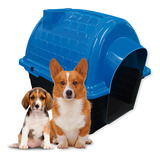 Casinha Cachorro Casa Pet Pequenos E Médios Portes Azul N3