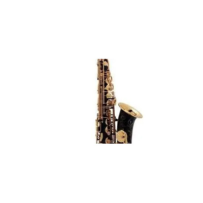 Saxofon Alto Selmer Super Action 80 Serie Ii Jubile Ng Go | Meses sin interés