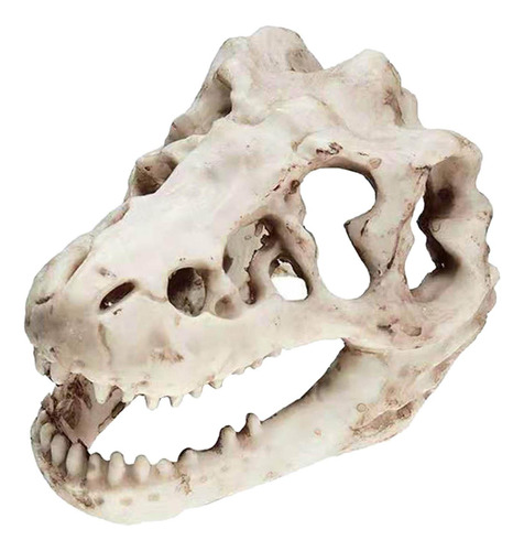 Pequeño Acuario De Resina Dinosaurio Cráneo Decoración