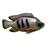 Peixe Tilápia Decorativo De Parede Em Poliresina 19cm