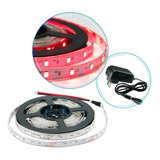 Tira Led 2835 Interior 5m 300led +fuente 12v 3a Mayorled