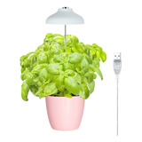 Luz Led Para Plantas Growled Charlotte- Planta Interior