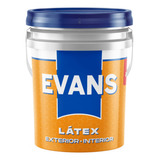 Pintura Látex Acrilico Exterior Evans Andina Antihongo 20 Lt