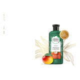 Shampoo Herbal Essences Bio Aloe & Mango 400 Ml