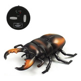 Controle Toy Beetle Inseto Aniversário Crianças Simulação