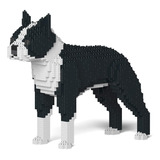 Jekca Boston Terrier 01s-m01