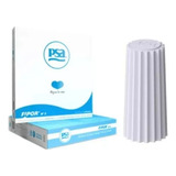 Filtro Fipor Repuesto Psa X8 Unidades Senior Blanco 