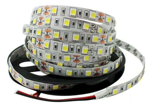 Pack X 10 Tira Led 24v 5050 Int Blanco Frio Camion Colectivo