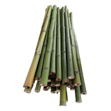 10 Varas Bambú Tutor Jardin Adorno Cerca 1.5m / 3-4cm Grosor