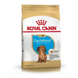 Royal Canin Dachshund Puppy (salchicha) X 3kg Il Cane Pet