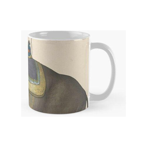 Taza Pintura Vintage De Hombres Montando Un Elefante Calidad