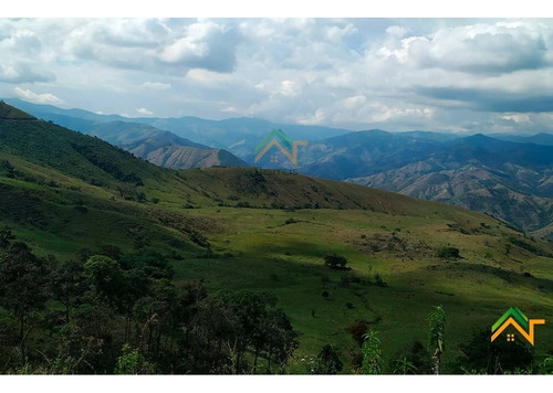 Vendo Finca De Gran Extension En Betulia - Imagen 2