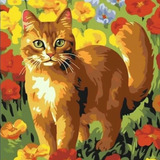 5d Diamond Painting Kit Pintura Diamante 5d Gato