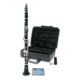 Clarinete Yamaha Ycl450n Con Estuche