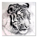 Cuadro Decorativo Tigre De Bengala Blanco Rostro En Lienzo