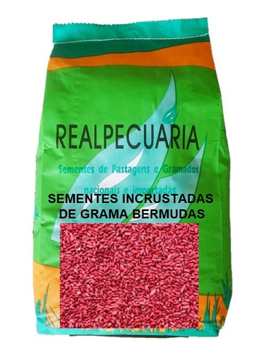 3 Kg De Sementes De Grama Bermudas Mais 1 Aspersor