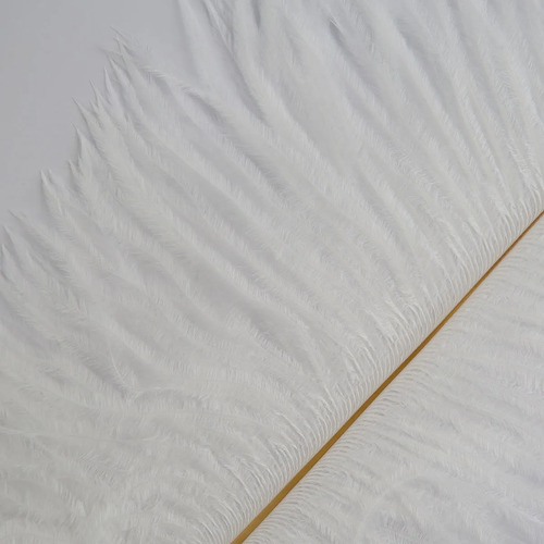 Plumas Naturales De Avestruz Para Manualidades Y Disfraces | MercadoLibre