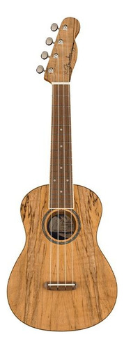 Fender Zuma Exotic Concert Ukulele, Spalted Maple Ukulele Color Marrón