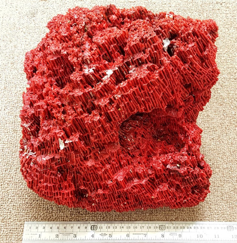 Set De Corales Para Pecera Marina: Coral Rojo, Cerebro, Etc.