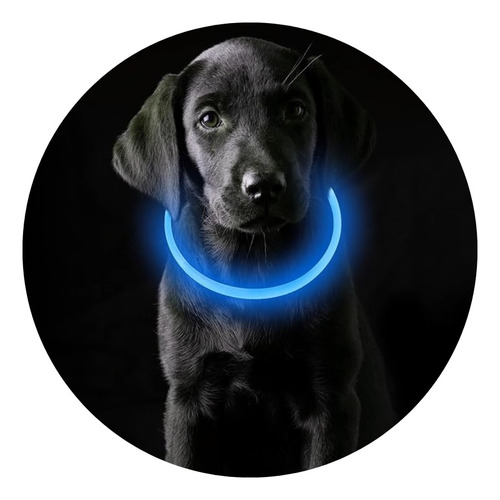Collar De Seguridad Nocturna Para Mascota  Luz Led -  Usb 