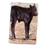 Vaca Angus Negra Rosa En 3d De Pie En Pasto-na02 Pwo0002-pip