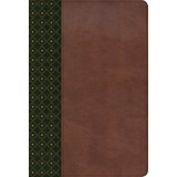 Biblia De Estudio Scofield Rvr60 Imit Piel Color Verde/café