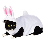 Disfraz Conejo Mascota, Pequeño