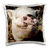 3drose Pc*****pet Pot Bellied Pig, Farm Animal, New Mexico-u