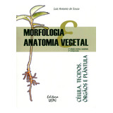 Morfologia E Anatomia Vegetal Células Tecidos Órgíos E Plntu