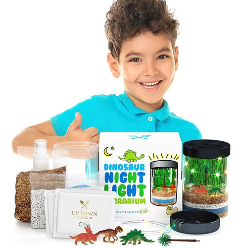 Kit De Terrario De Dinosaurio Para Niños  Manualidades...