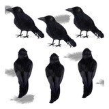Pájaros De Halloween, Cuervos De Plumas Negras, Decoración D