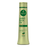 Shampoo Haskell 500ml Jaborandi