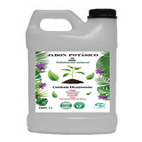 Jabon Potasico De Neem 1 Litro Concentrado Natural Liquido