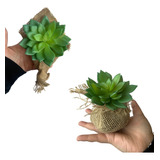 5 Suculentas Echeverias Artificiais Em Silicone P/ Decoração