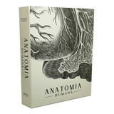 Caixa Livro Decorativa Grande 31x23,5x5cm -  Anatomia