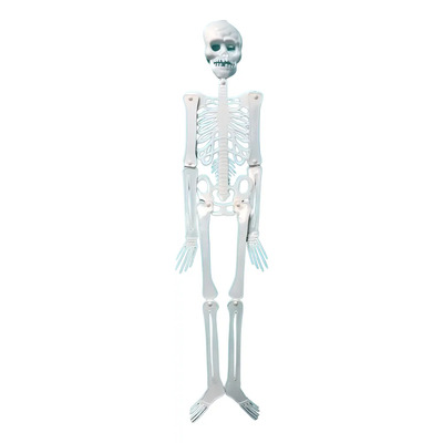Esqueleto Articulado 90cm. Decoracion Halloween Chirimbolos | Envío gratis