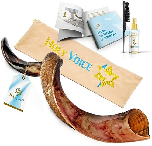 Kosher Kudu Shofar Horn De Israel - Shofar Tradicional