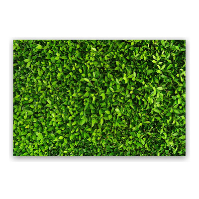 Fundo Fotográfico Em Tecido Newborn Muro Inglês 1,50 X 2,20m