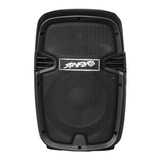 Cabina Pasiva 10 Pulgadas Stanford St-710. 750 Watts