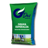 10 Kg De Sementes De Grama Esmeralda!! Frete Gratis