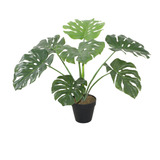 Monstera De 60 Cm, Vadell Home