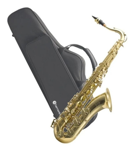 Saxofone Tenor Bb Harmonics Hts-100l Laqueado Com Case