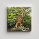 60x60cm Cuadro Estilo Óleo Árbol Kauri - Decocuadros