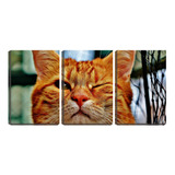 Quadro Canvas 30x66 Gato Amarelo Piscando Na Tela