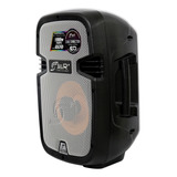 Cabina Profesional 8 + Microfono Jyr 5159 | Bluetooth 1000w Color Negro