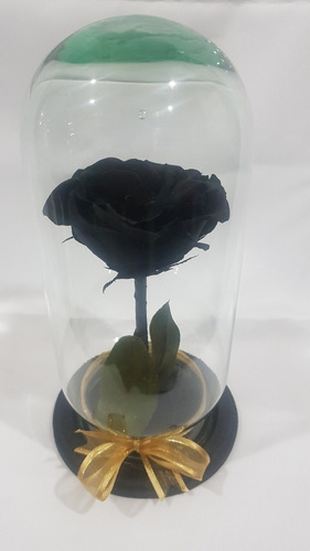 Rosa Eterna Negra