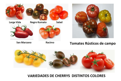Semillas Tomates Y Cherrys Mix Gran Variedad (150 Uds.) 