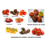 Semillas Tomates Y Cherrys Mix Gran Variedad (150 Uds.) 