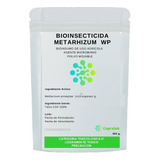 Bioinsecticida Metarhizum 500 - g a $140