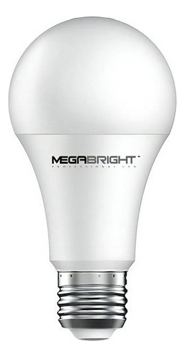 Amp. Led Megabright A60 Clasica 13w/6400 Color De La Luz Luz Fria